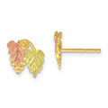 10k and 12k Tri-color Black Hills Gold Grapes and Leaves Post Earrings, 10 x 9 mm