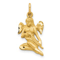 10k Satin Diamond-cut Angel Playing Lute Charm, 25 x 13 mm