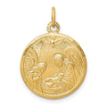 10k Solid Satin Polished Baptism Disc Pendant, 25 x 19 mm
