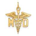 14k Large M.D. Caduceus Charm, 29 x 23 mm