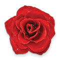 Lacquer Dipped Red Real Rose Blossom Silver-tone Pin Brooch