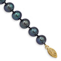 14k 8-9mm Black Near-Round Freshwater Cultured Pearl 7.5 inch Bracelet, 7.5 x 8.5 mm