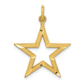 14k Diamond-cut Star Charm, 27 x 20 mm