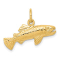 14k Grouper Fish Charm, 16 x 24 mm