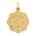 14k RN Registered Nurse Textured Back Disc Charm, 25 x 15 mm