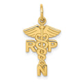 14k RNP Registered Nurse Practitioner Charm, 25 x 15 mm