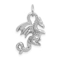 14k White Gold Solid Polished 3-D Dragon Charm, 21 x 13.5 mm