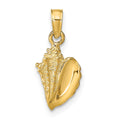 14k Conch Shell Pendant, 19 x 8 mm