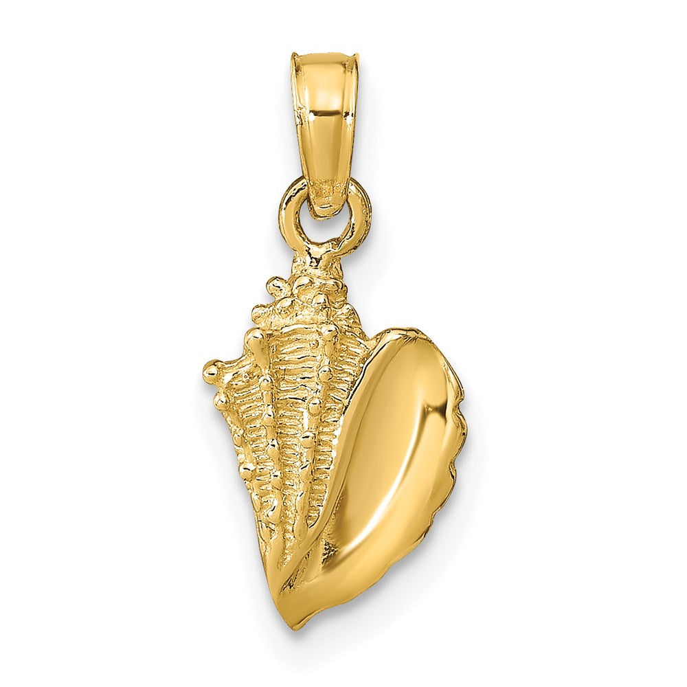14k Conch Shell Pendant, 19 x 8 mm