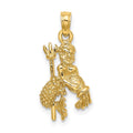 14k 3-D Aquarius Zodiac Charm, 21.9 x 10.4 mm