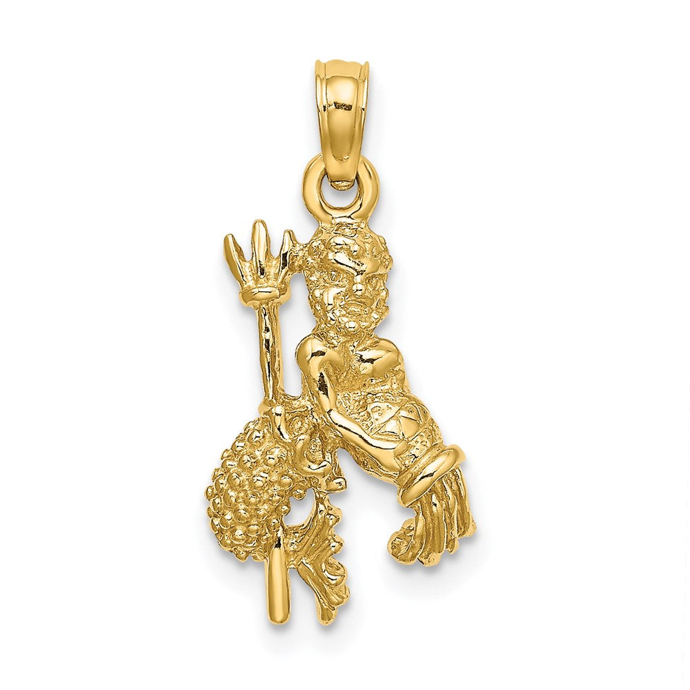 14k 3-D Aquarius Zodiac Charm, 21.9 x 10.4 mm