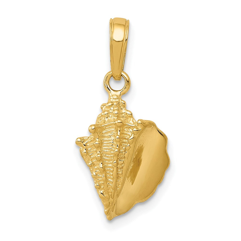 14k Solid Polished Conch Shell Pendant, 21 x 10 mm