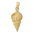 14k Conch Shell Pendant, 24 x 9 mm