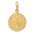 14K Sand Dollar Pendant, 24 x 16 mm, 1.8 g