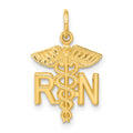 14k RN Registered Nurse Charm, 25 x 15 mm