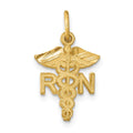 14k RN Registered Nurse Charm, 20 x 12 mm