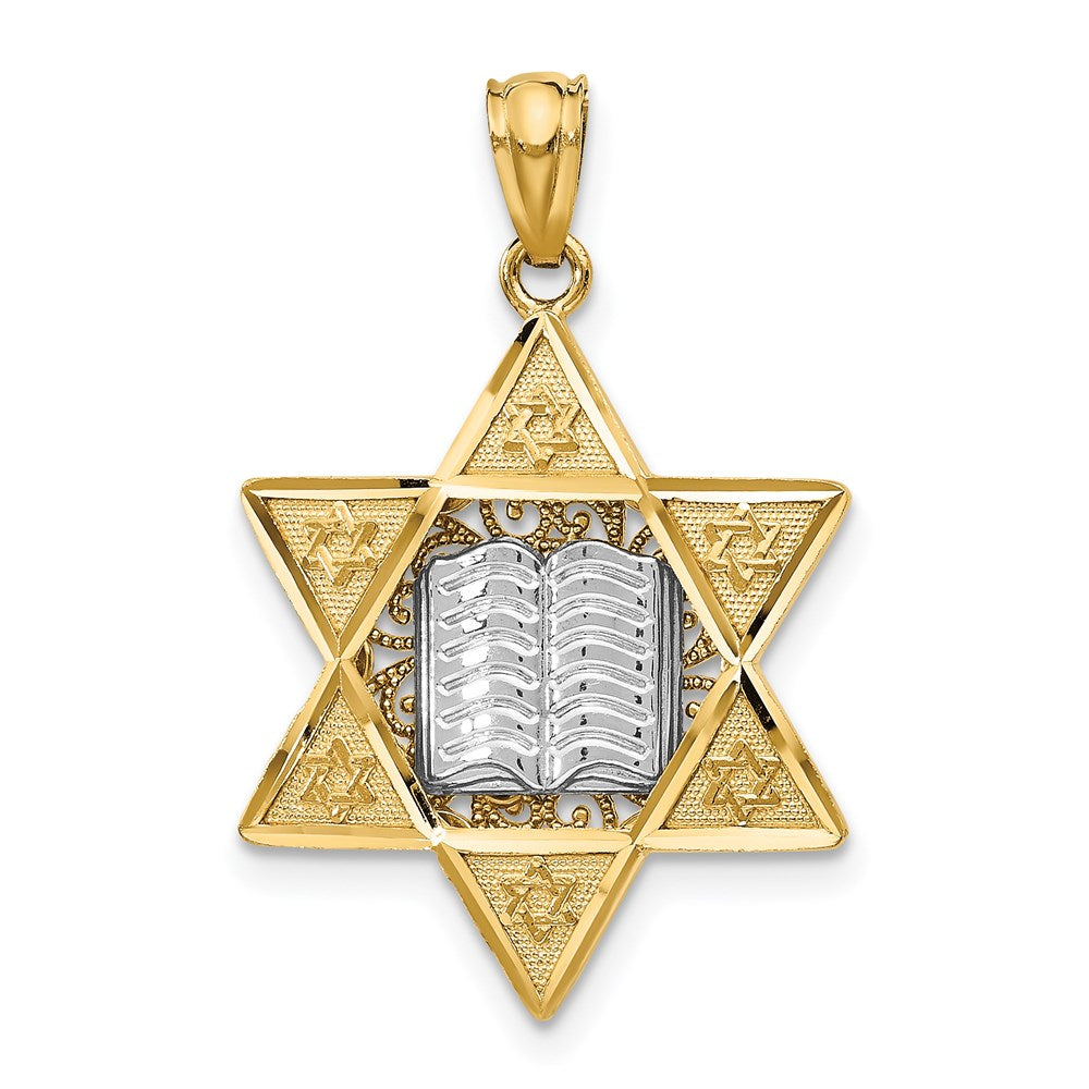 14k Two-tone Star of David and Torah Reversible Pendant, 22 x 17 mm