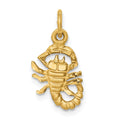 14k Satin Diamond-cut Scorpio Zodiac Charm, 19 x 10 mm