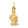 14k Satin Diamond-cut Aquarius Zodiac Charm, 20 x 8 mm