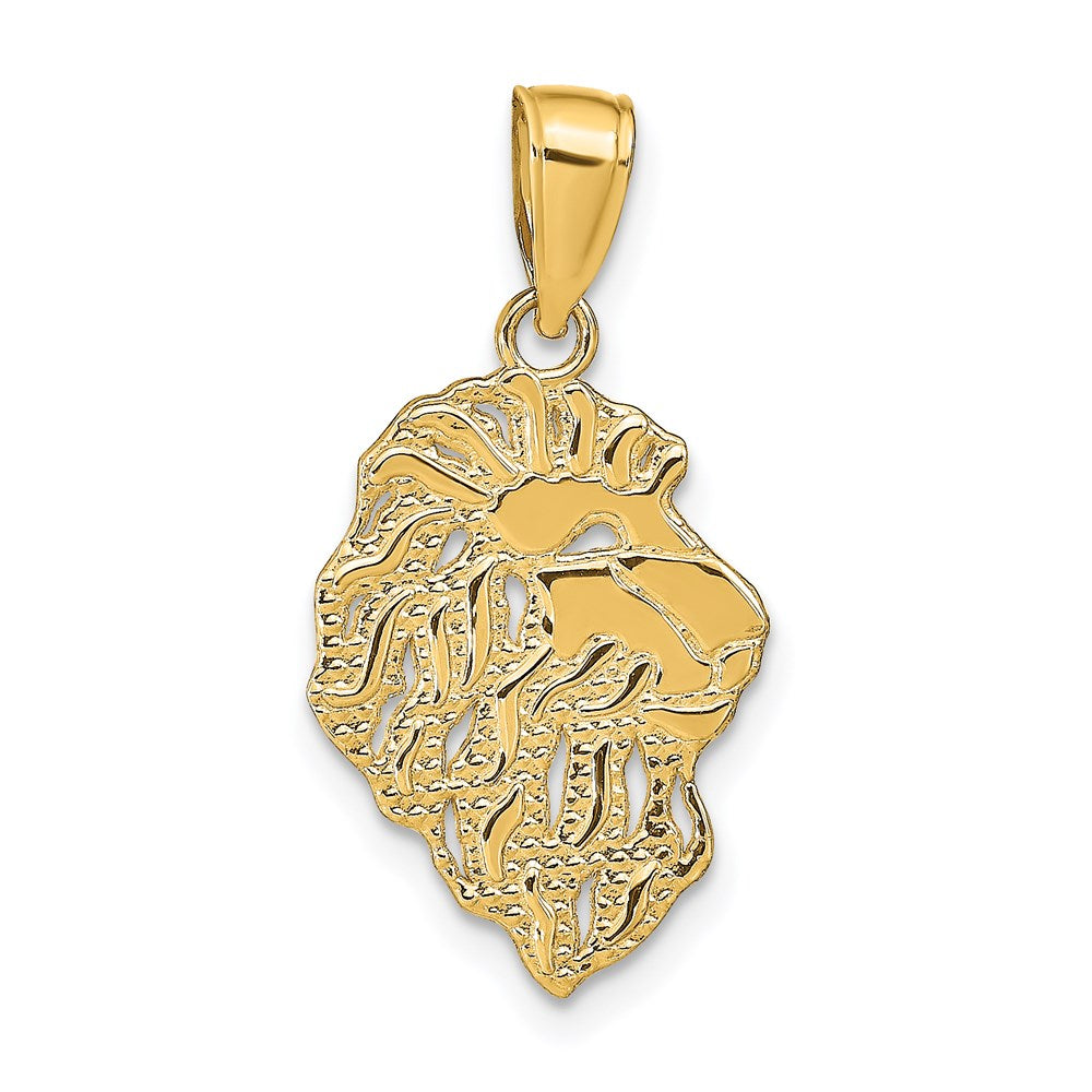 14K Lion Head Pendant, 26 x 12 mm