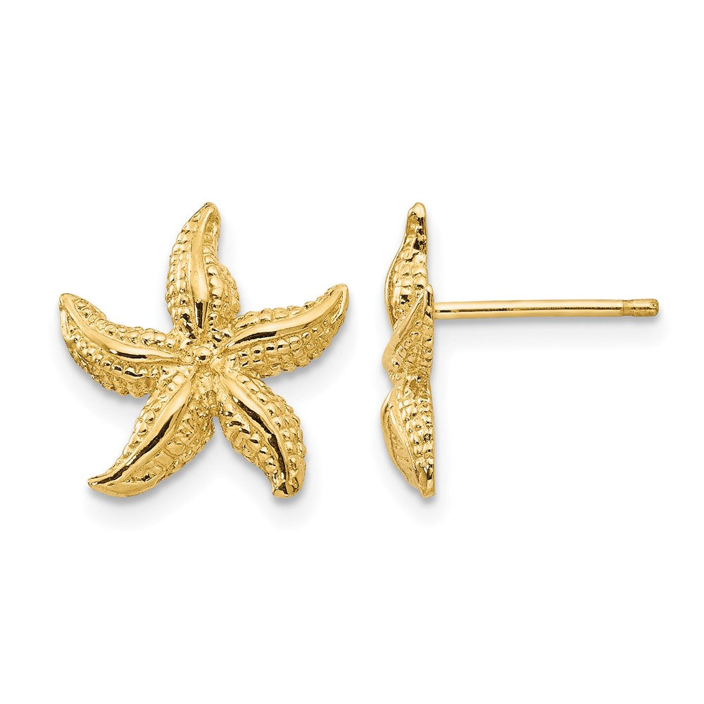 14k Starfish Earrings, 13 x 12 mm