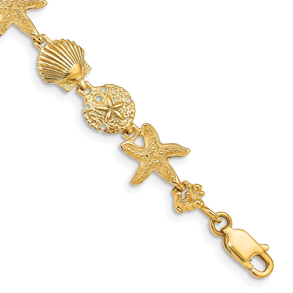14k Polished Assorted Sea Shell Theme 7.5 inch Bracelet, 7.5 x 10 mm