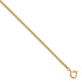 Gold-tone Steel 3.75mm Rolo Pocket Watch Chain