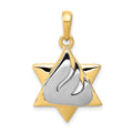 14k Two-tone Star of David with Shin Symbol Pendant, 30 x 18 mm