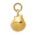 14k Seashell Pendant, 18 x 10 mm