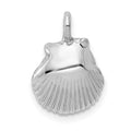 14k White Gold Seashell Pendant, 18 x 10 mm