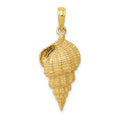 14k Conch Shell Pendant, 30 x 11 mm