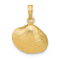 14k Medium Clam Shell Pendant, 21 x 16 mm