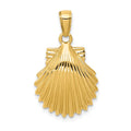 14k Scallop Shell Pendant, 26 x 15 mm