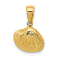 14k Small Clam Shell Pendant, 16 x 12 mm
