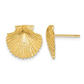 14K Scallop Shell Post Earrings, 13 x 13 mm