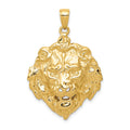 14k Lion Head Charm, 30 x 24 mm