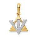 14K Two-tone Star of David with Shin Symbol Charm, 24 x 14 mm