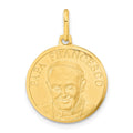 14k Yellow Gold Polished and Satin Papa Francesco Medal Pendant, 26 x 18.3 mm