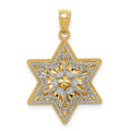 14K Two-Tone Polished Reversible Filigree Star Of David Pendant, 26 mm