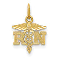 14k Diamond-cut Polished RN Registered Nurse Pendant, 16.21 x 11.14 mm