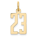 14k Small Elongated Number 23 Charm
