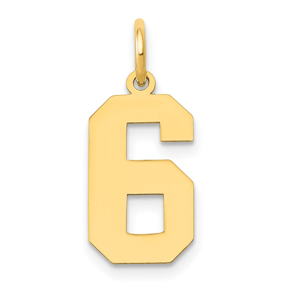 14k Medium Polished Number 6 Charm, 16.13 x 8.19 mm