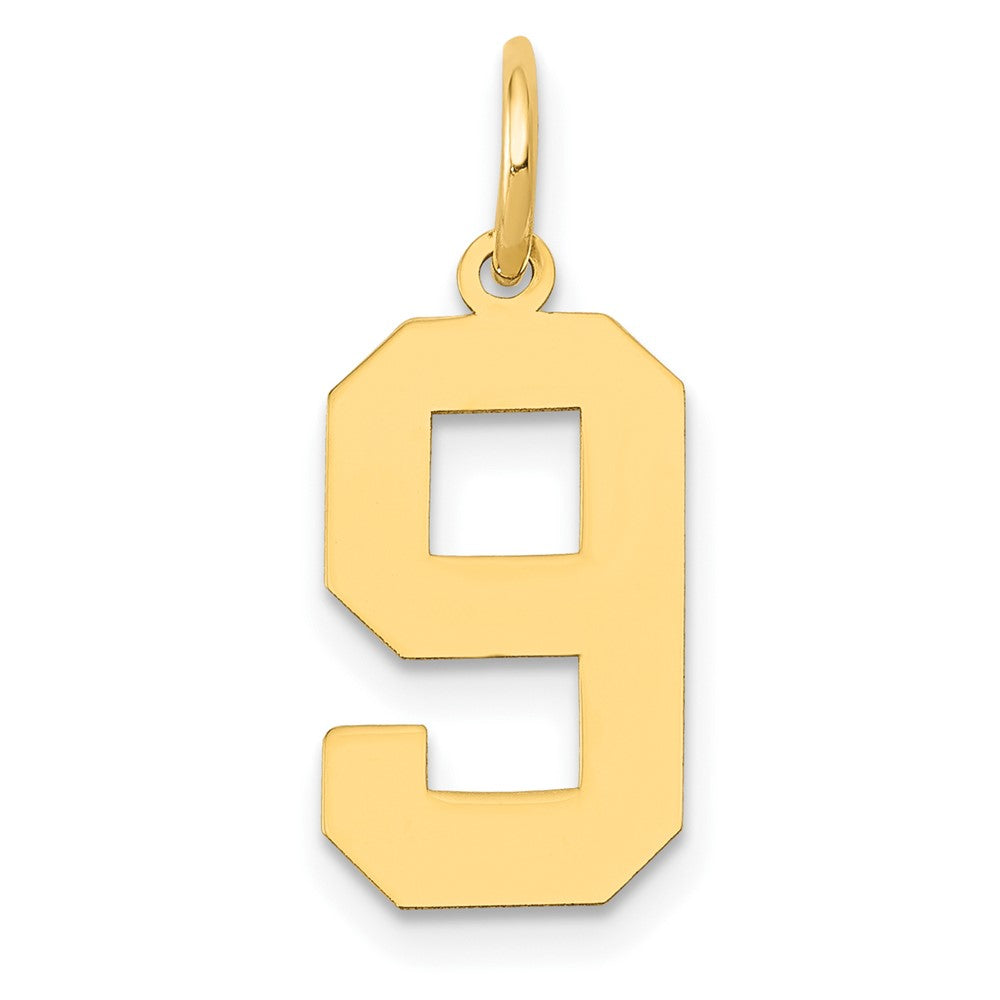 14k Medium Polished Number 9 Charm, 16.13 x 8.18 mm