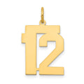 14k Medium Polished Number 12 Charm, 0.67 g