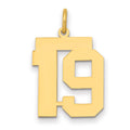 14k Medium Polished Number 19 Charm, 0.7 g