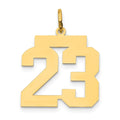 14k Medium Polished Number 23 Charm, 0.76 g