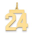 14k Medium Polished Number 24 Charm, 0.73 g