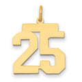 14k Medium Polished Number 25 Charm, 0.78 g