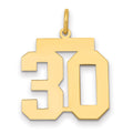 14k Medium Polished Number 30 Charm, 0.92 g
