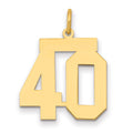 14k Medium Polished Number 40 Charm, 0.89 g